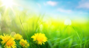 The Ribber Catering with spring Background